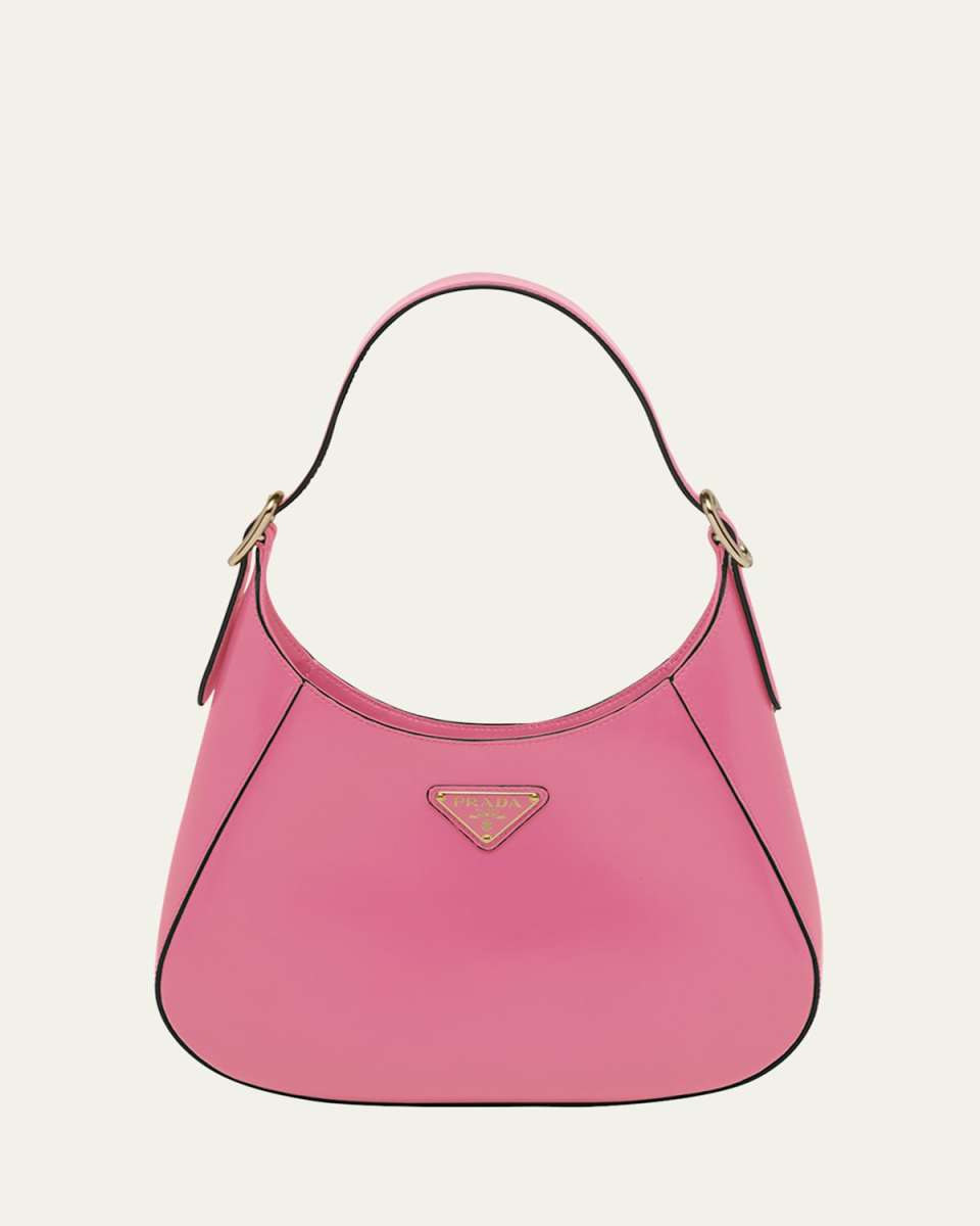 Buckle Box Calf Leather Hobo Bag